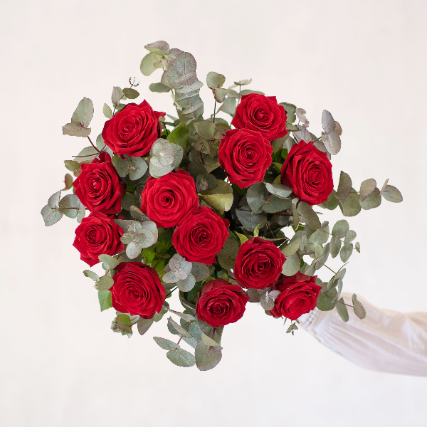 Oferecer rosas no Dia dos Namorados