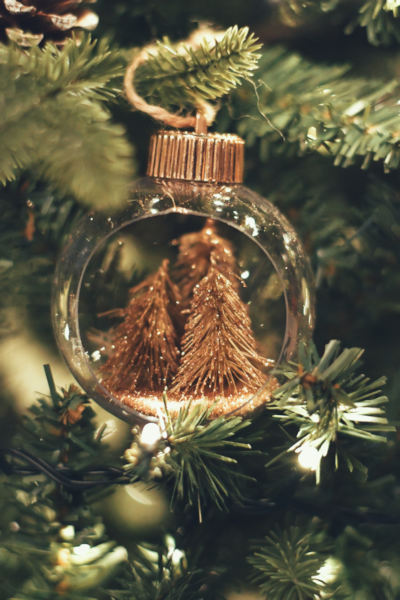 Tradições da Árvore de Natal