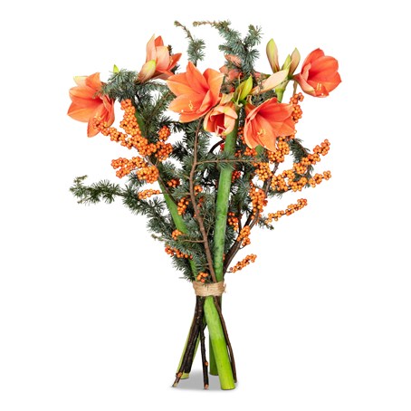 Amaryllis Bouquet Winter Poem