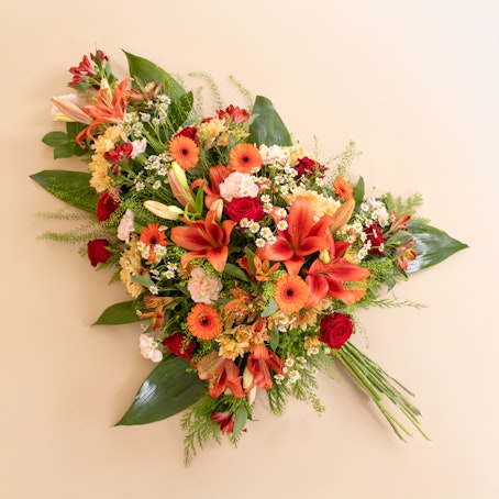 Palma Despedida Calorosa