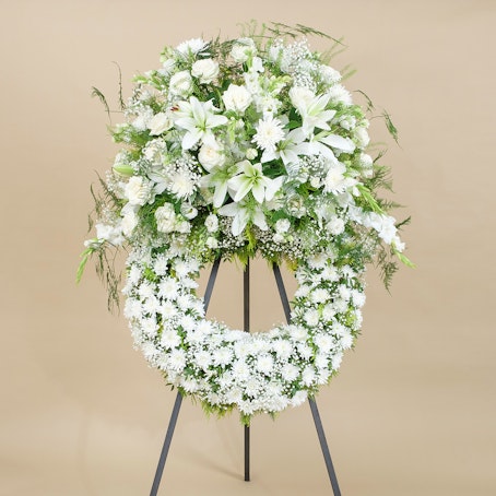 Auréola Premium Branca