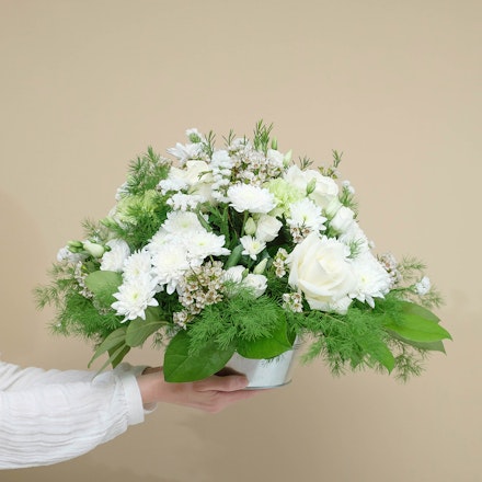 Composição Branca Serena