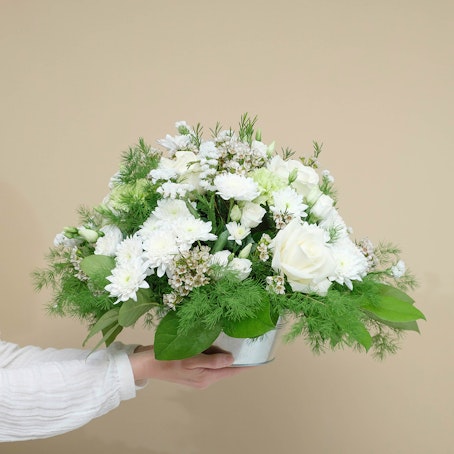 Composição Branca Serena