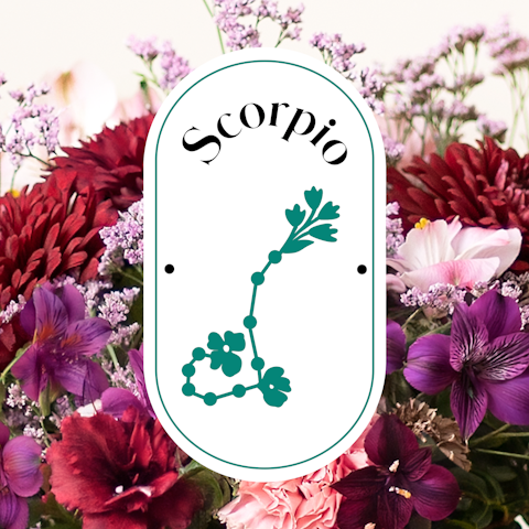 Signo del mes: Escorpião
