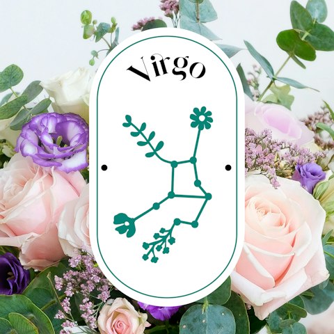 Signo del mes: Virgem