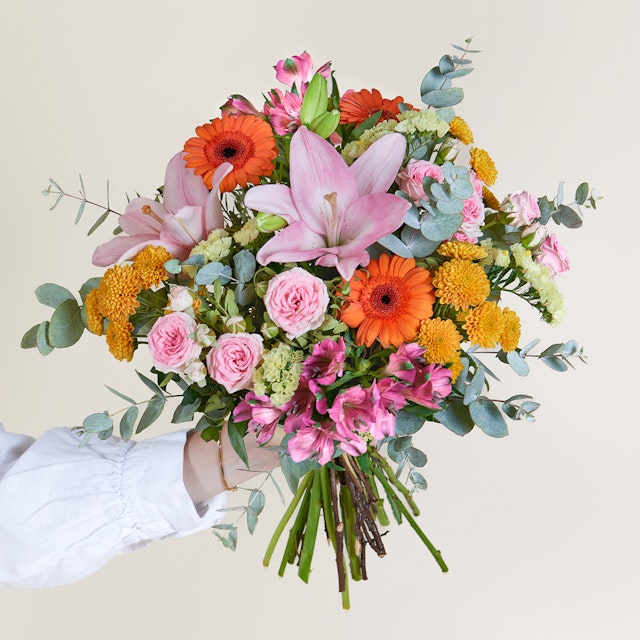 Coleção Blue Monday cheia de cor