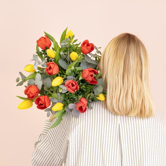 Tulipas Multicoloridas