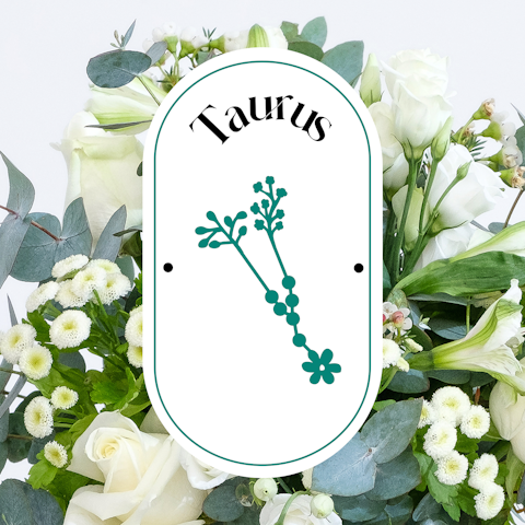 Signo del mes: Touro