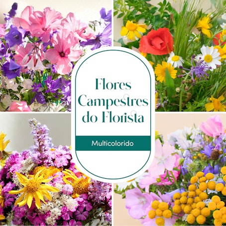 Bouquet do florista com flores campestres