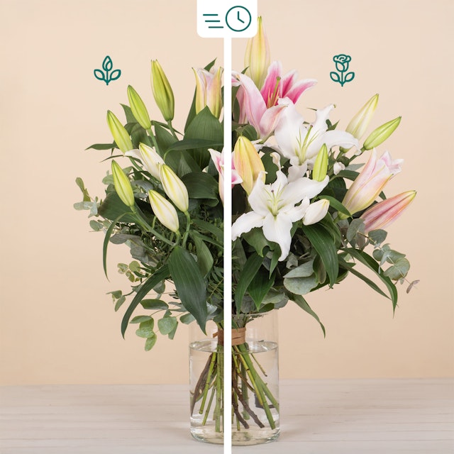 Ramo de Lírios em tons pastéis