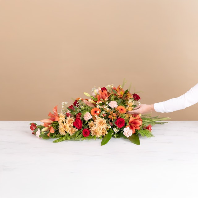 Palma Despedida Calorosa