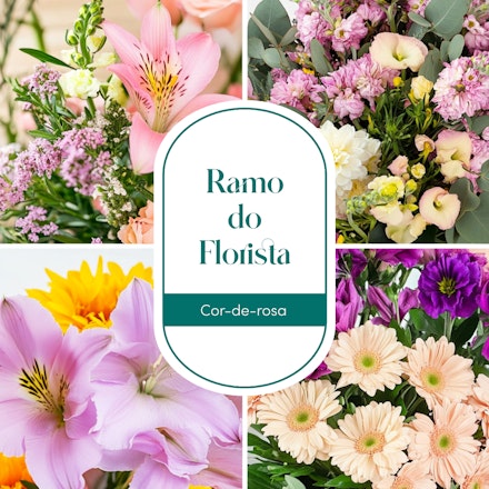 Ramo do Florista: Cor de Rosa