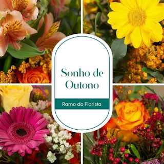 Sonho de Outono