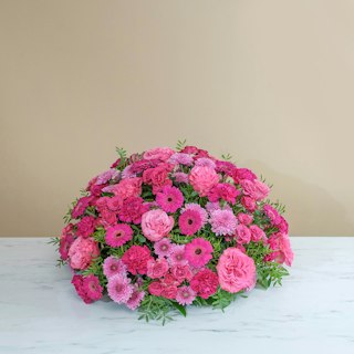 Abraço Rosa Eterno