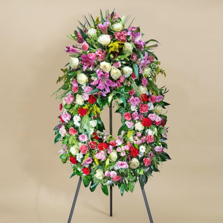 Auréola Premium Multicolorida