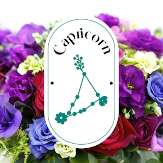 Capricórnio