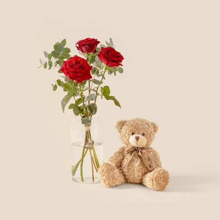 Pack: Tércia & Peluche