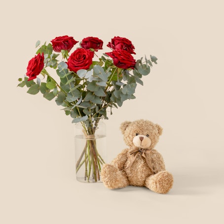 Pack: Sexta & Peluche