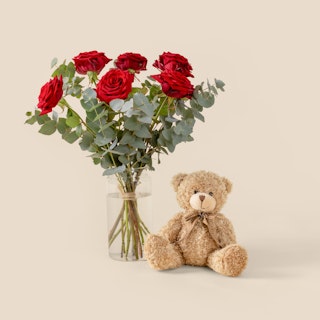 Pack: Sexta & Peluche